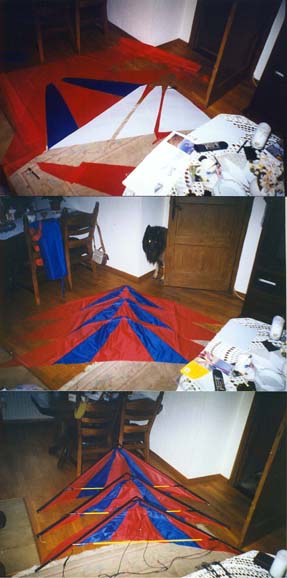 speedwingfoto.jpg (35182 bytes)